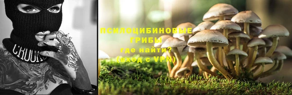 молекула духа Верея